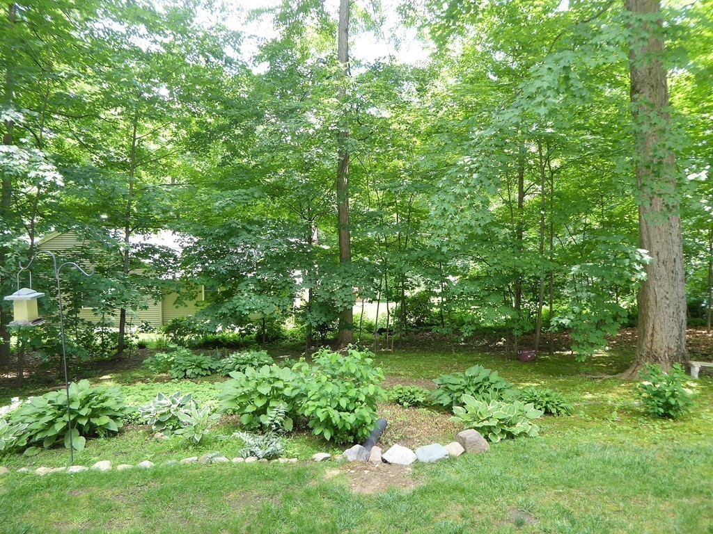 2 Greenwood Road Wilbraham, MA 01095 - Photo 23 of 26 Gallery Image 23