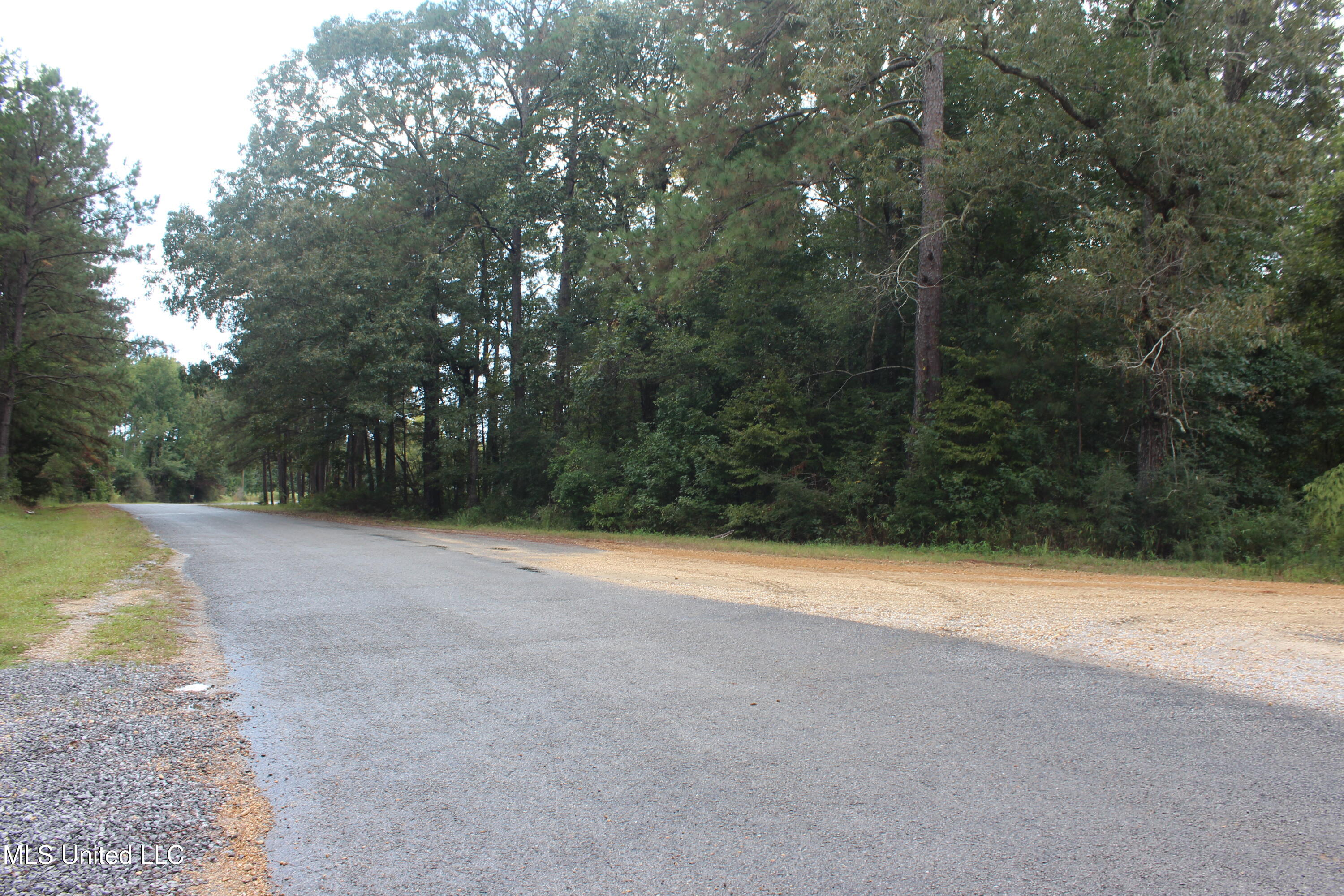Tbd Fox Road Gloster, MS 39638 - Photo 9 of 20 40 ac New Hope Rd & Fox Rd (11)