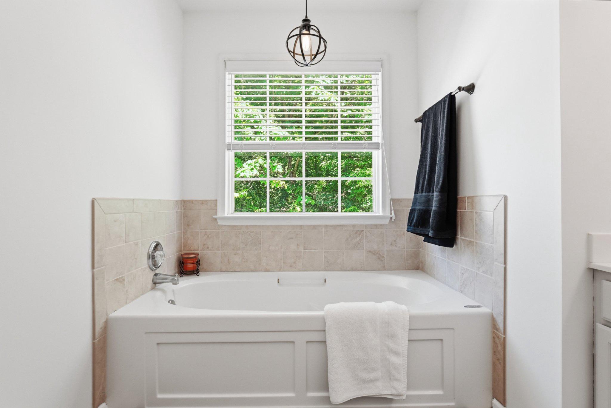 1522 Meander Run Road Locust Dale, VA 22948 - Photo 44 of 72 Serene bath with natural light.