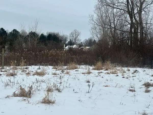 $24,900 | Lot B Belsay, Burton, MI 48519