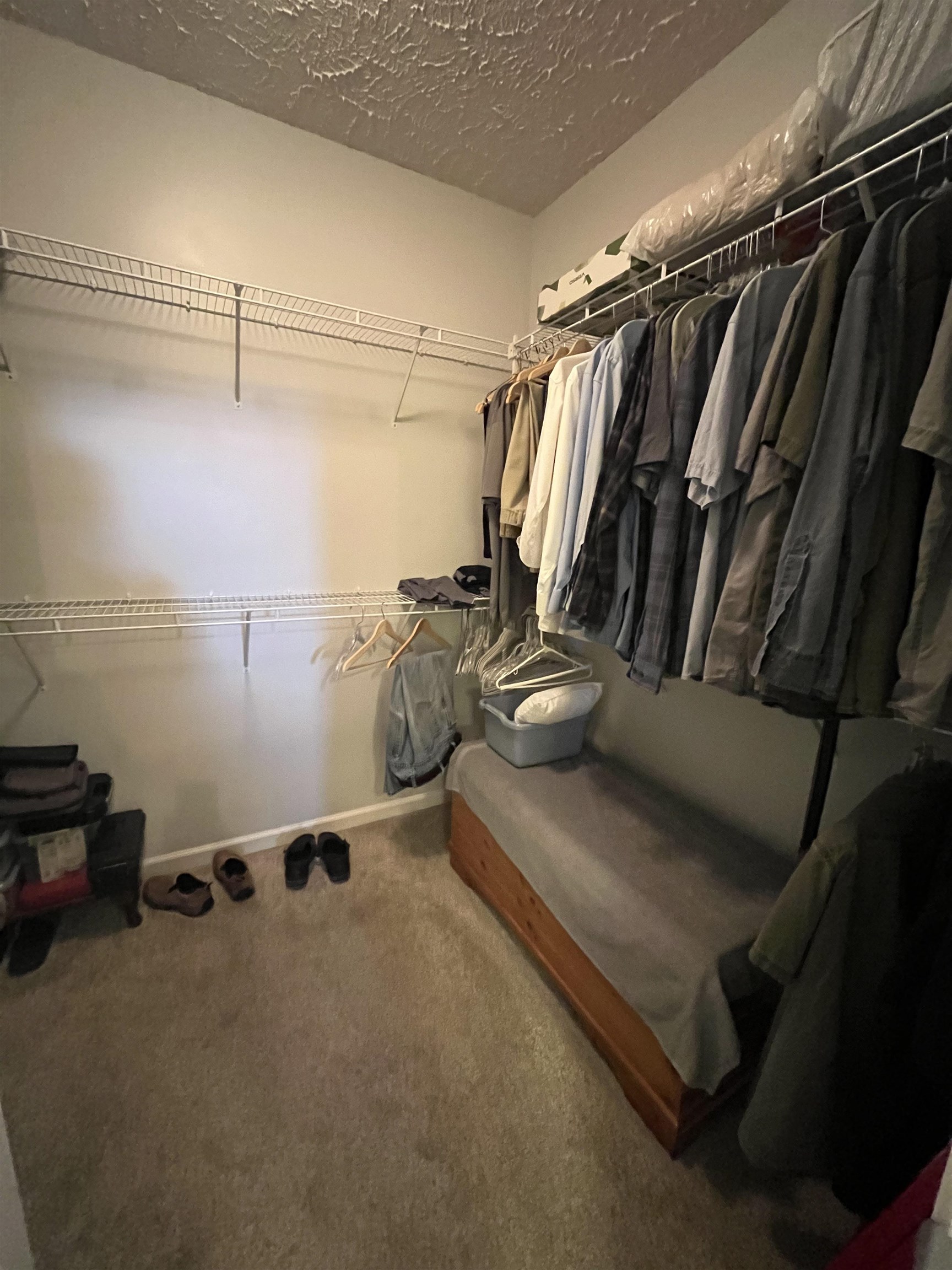 5485 Shipp Road Millington, TN 38053 - Photo 9 of 17 Walk in closet with carpet flooring