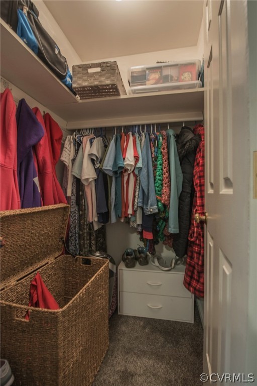 15501 Saddlebrook Road Chesterfield, VA 23838 - Photo 31 of 44 a view of walk in closet with clothes and shoes