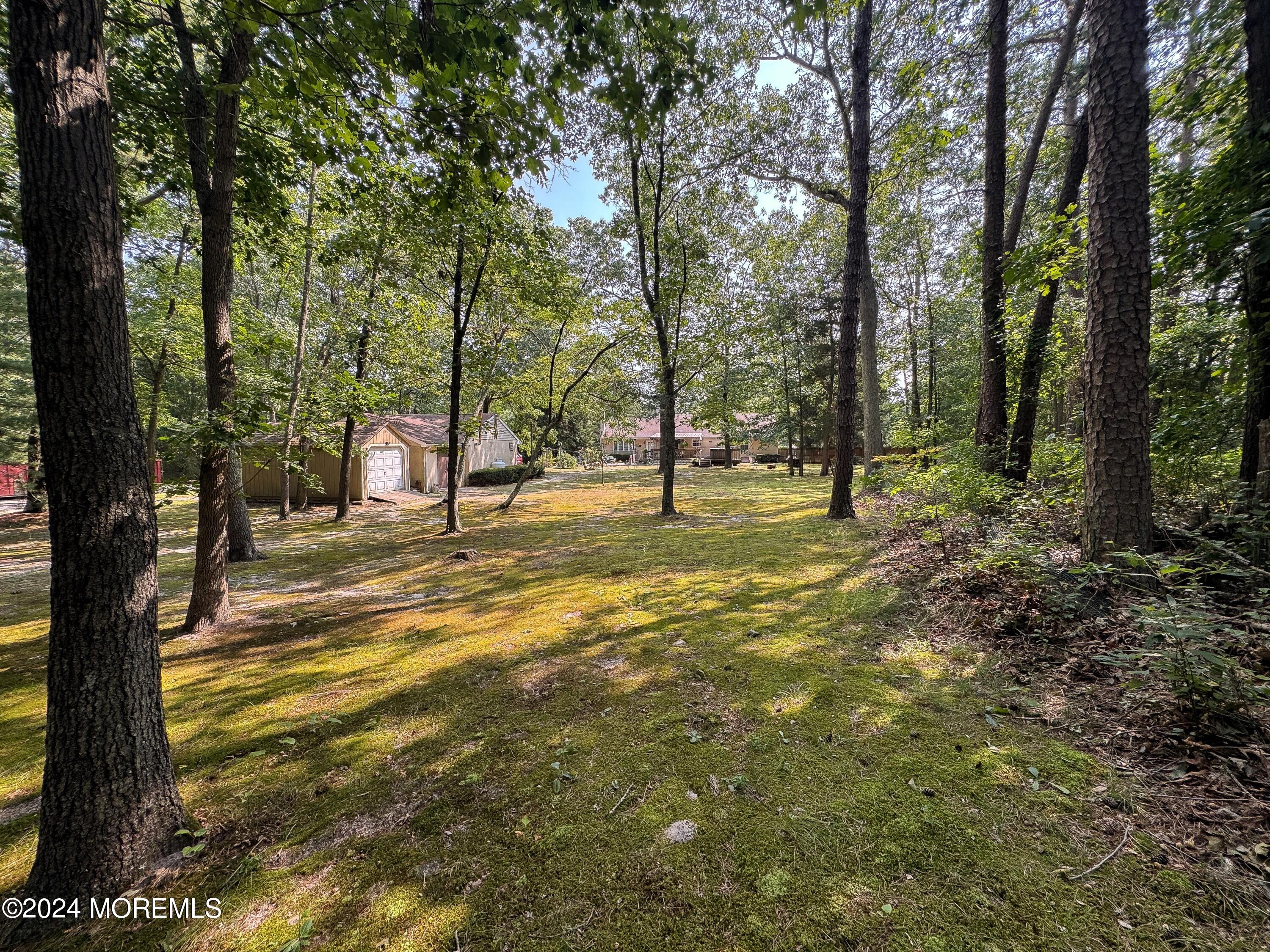 56 Toms River Road Jackson, NJ 08527 - Photo 53 of 58 56 Toms River Backyard Property