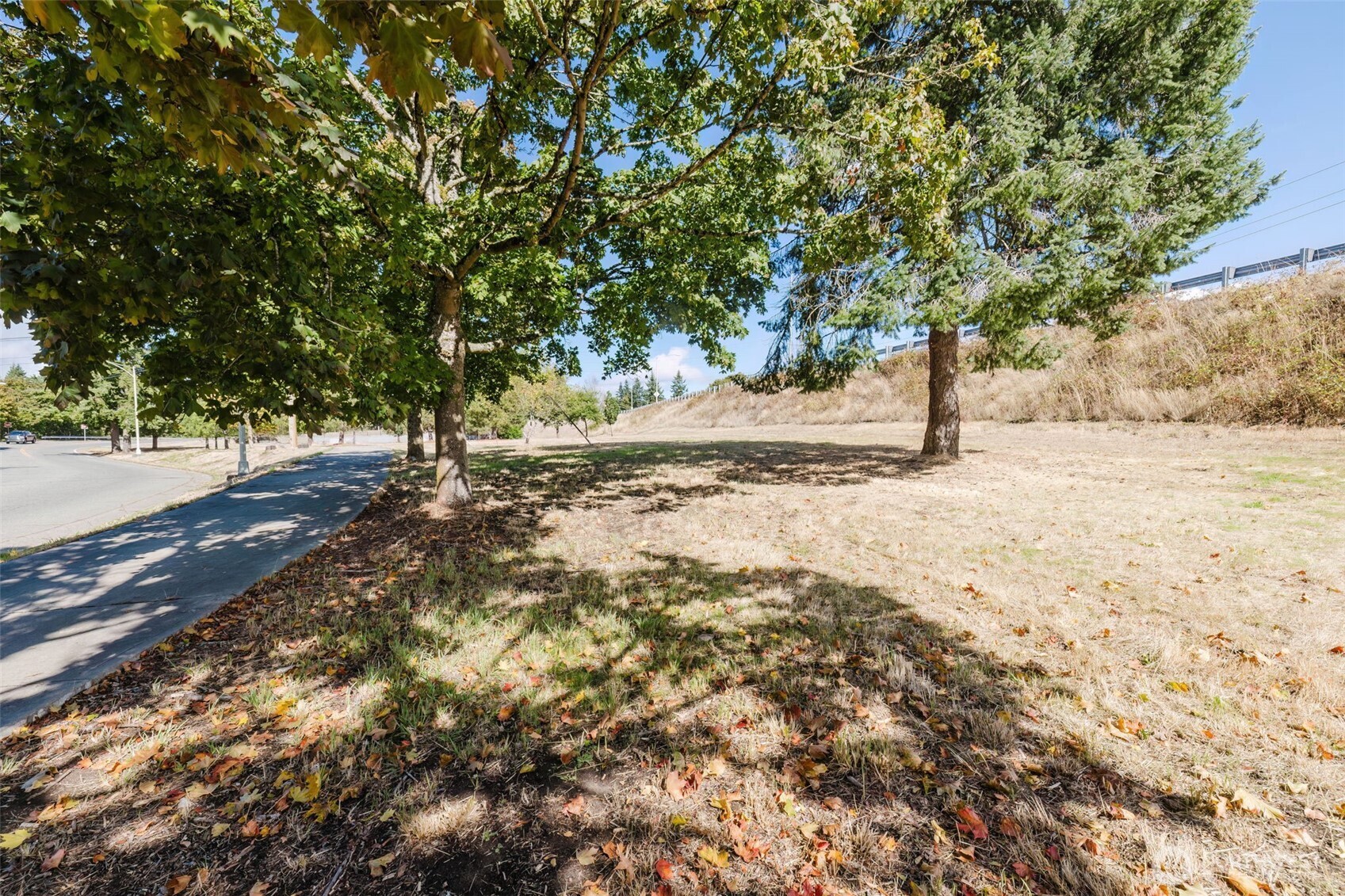567 Juniper Street Bremerton, WA 98310 - Photo 31 of 37 a view of dirt yard with a tree