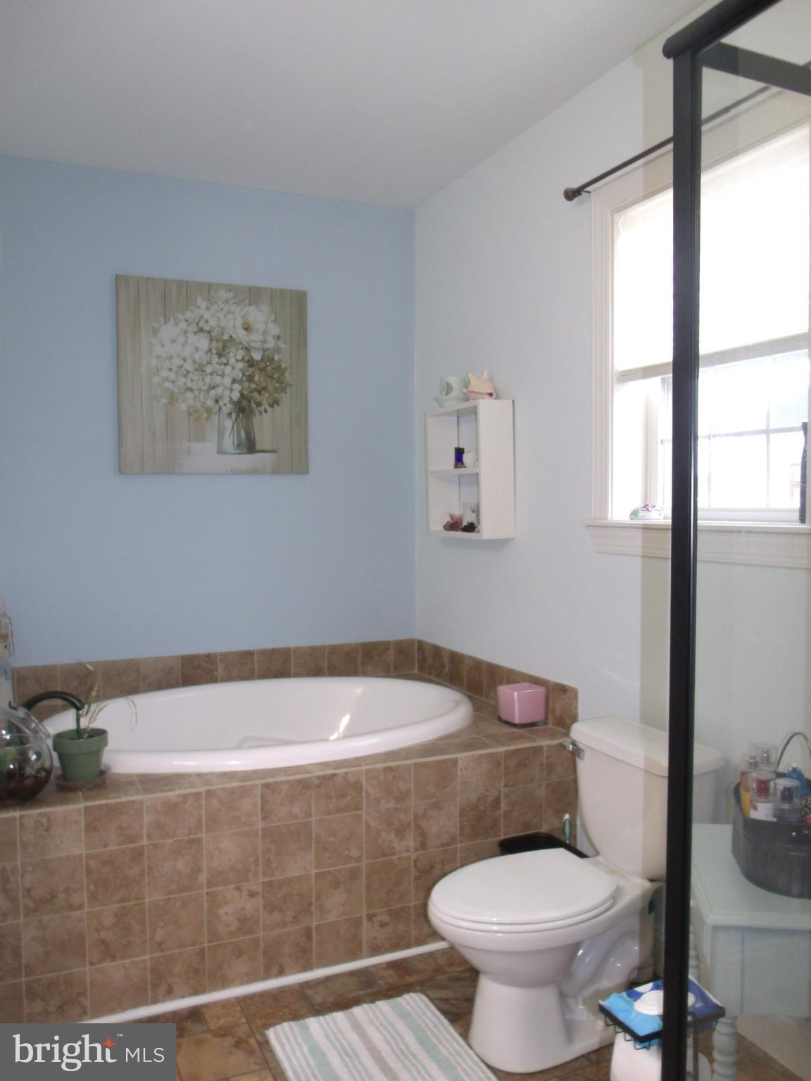 36 Sharon Road Millsboro, DE 19966 - Photo 32 of 70 master bath view 3
