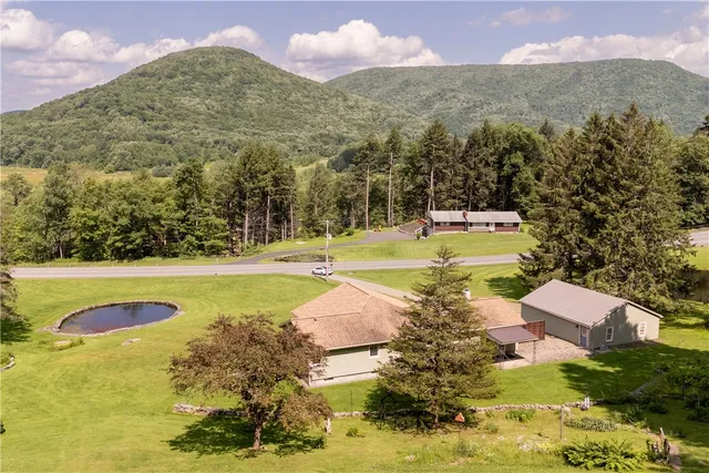 $349,000 | 23685 State Highway, Walton, NY 13856