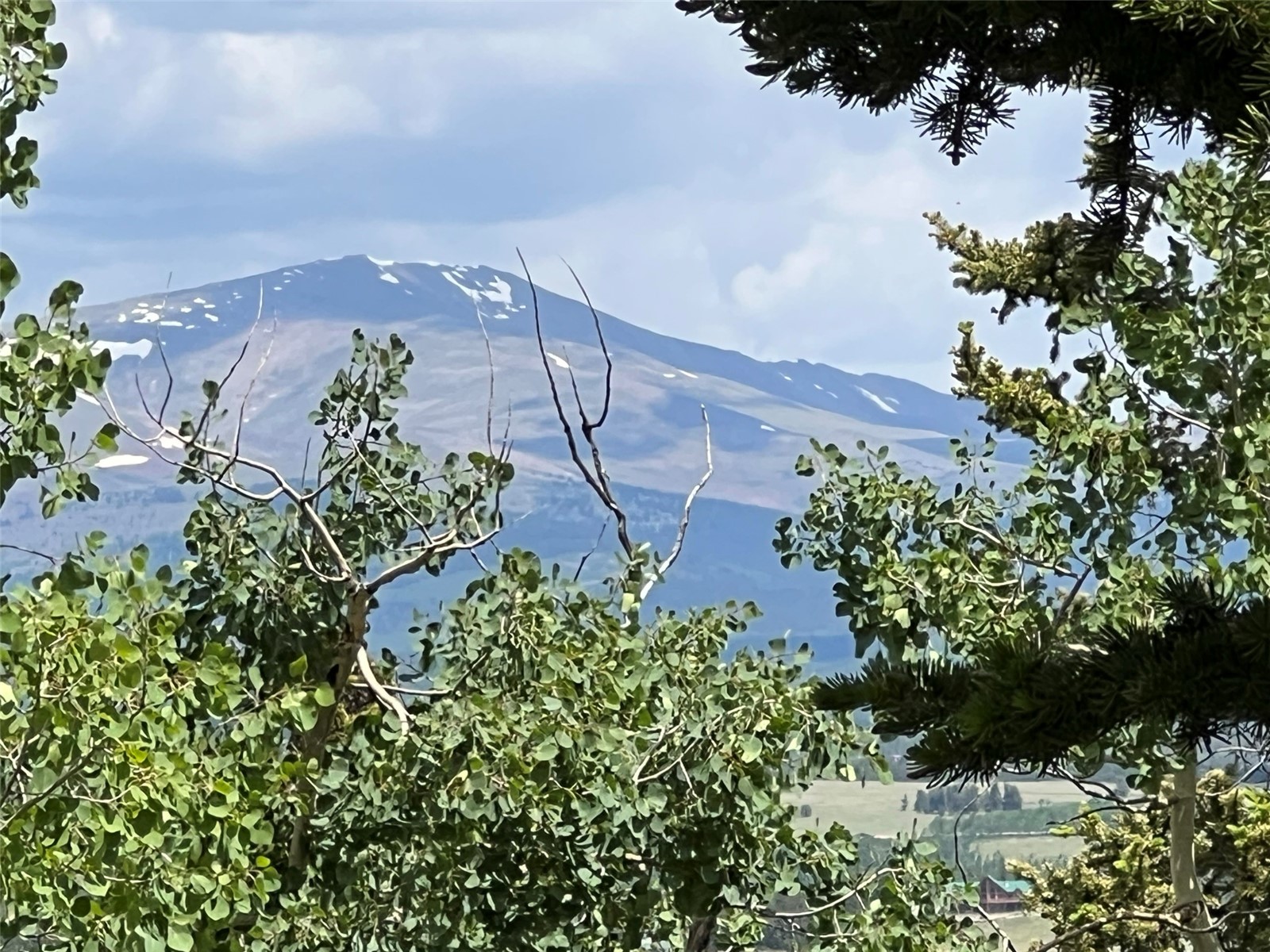 451 Sheep Ridge Road Fairplay, CO 80440 - Photo 2 of 32 Gallery Image 2