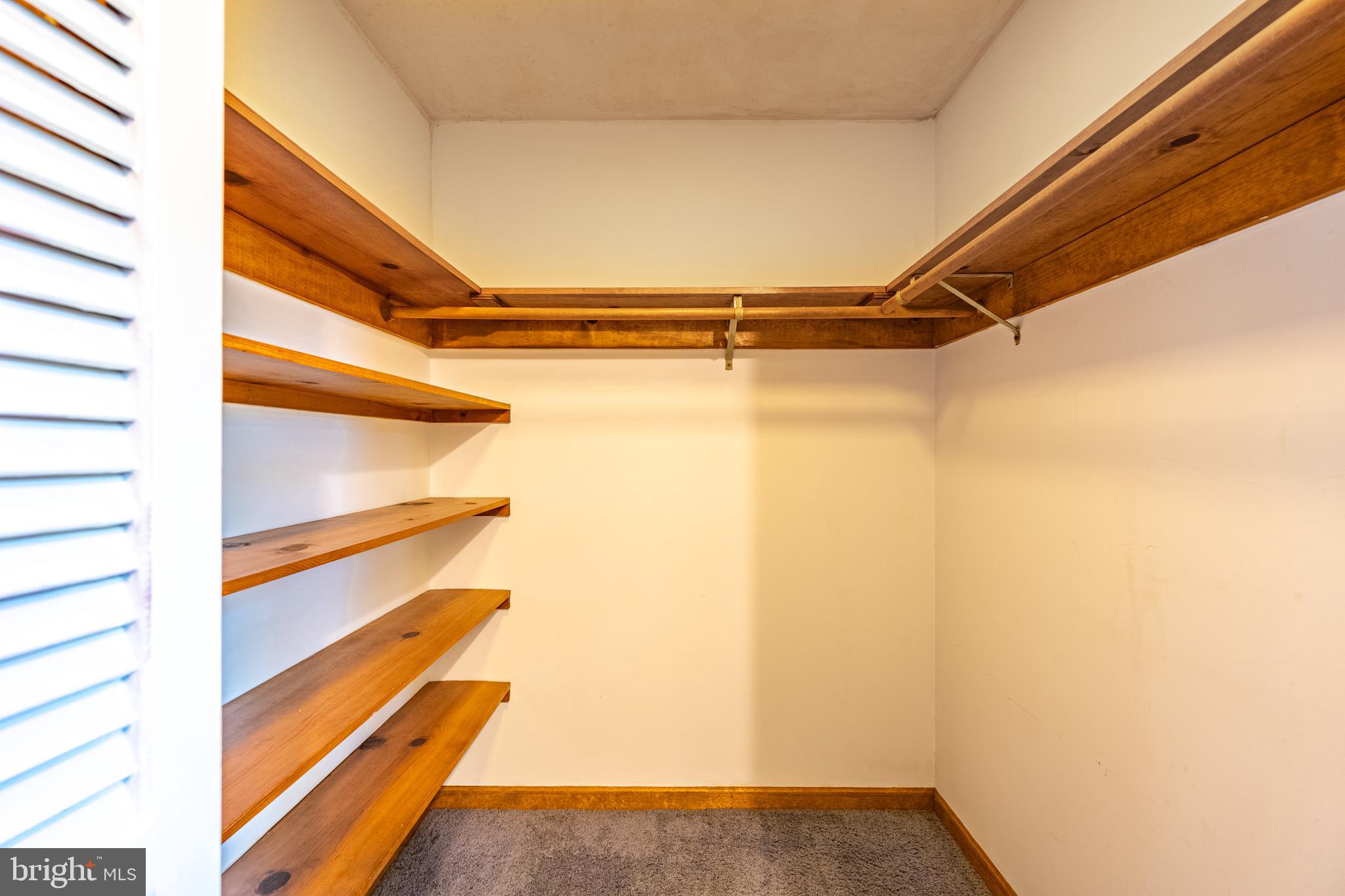 6181 Rockawalkin Road Salisbury, MD 21801 - Photo 28 of 65 a view of walk in closet with empty racks