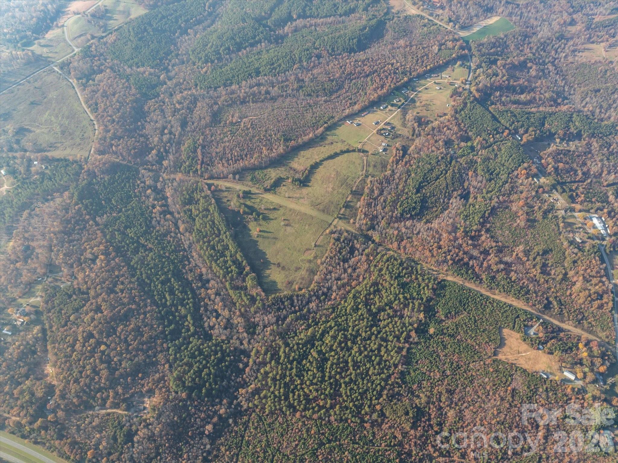 1888 Pea Ridge Road Mill Spring, NC 28756 - Photo 29 of 31 a view of a forest with a tree