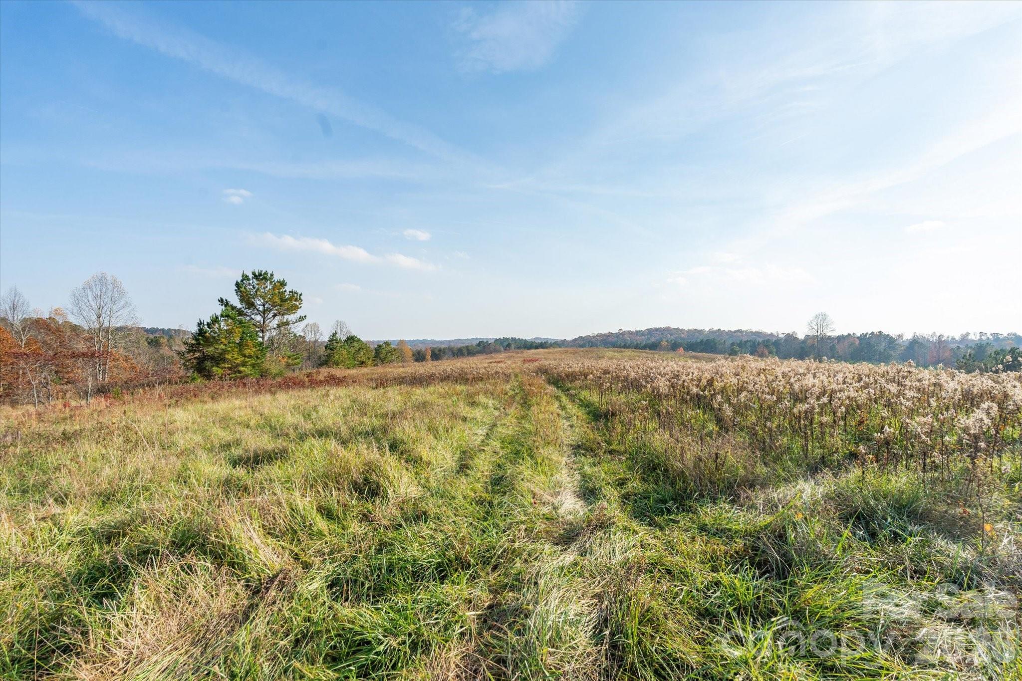 1888 Pea Ridge Road Mill Spring, NC 28756 - Photo 10 of 31 a view of a lake