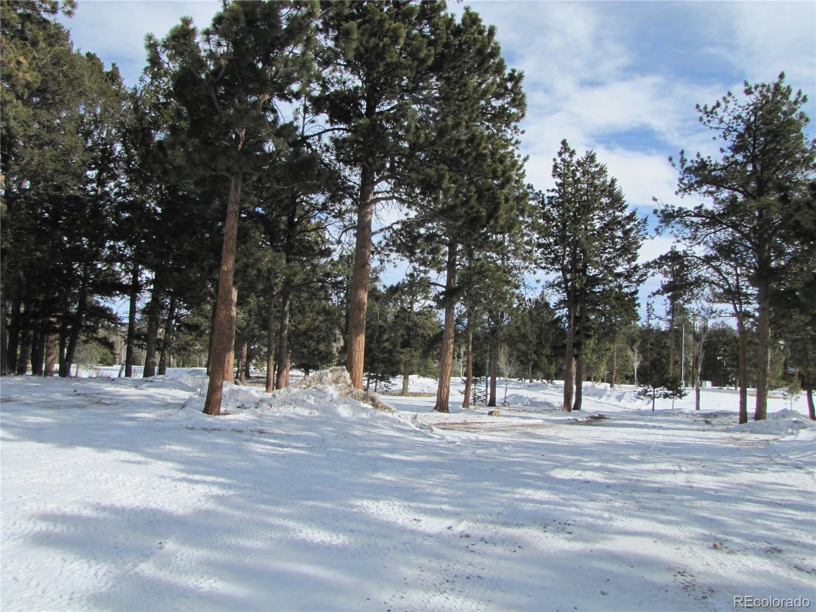 1903 Singletree Road Hartsel, CO 80449 - Photo 5 of 19 Gallery Image 5