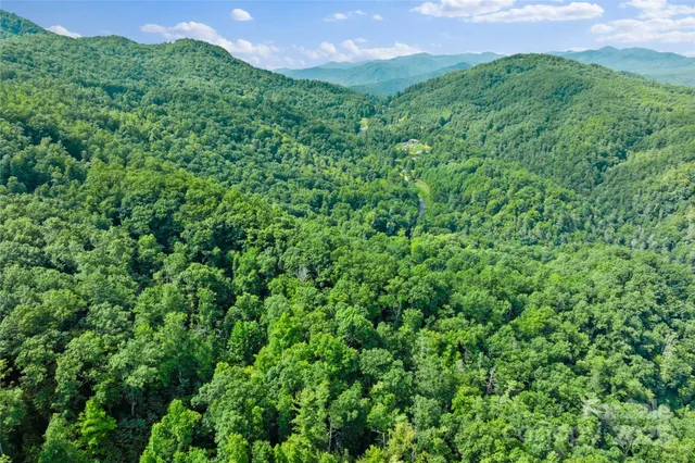 a view of a lush green outdoor space with a lake view
