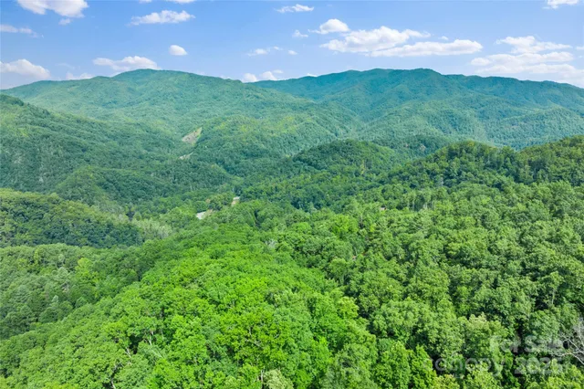 a view of a big yard with plants and a garden