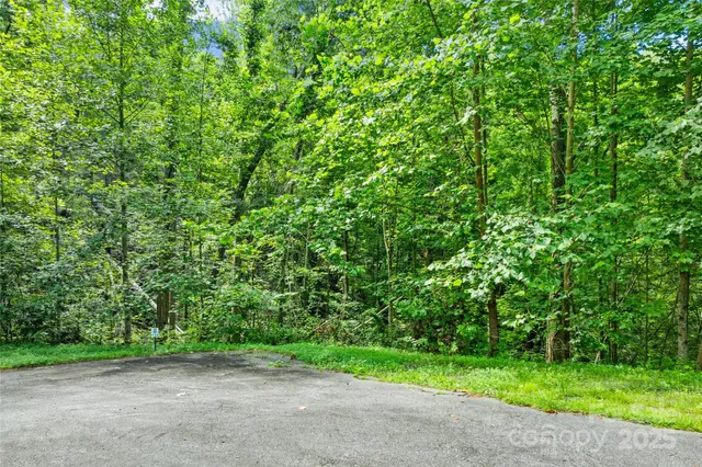 a view of a field with a trees in the background
