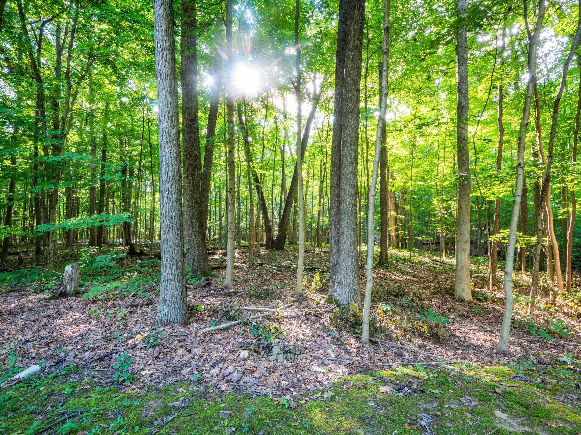 5590 Howard Road Delaware, OH 43015 - Photo 25 of 82 Howard Road