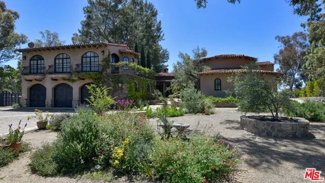 a view of a backyard with potted plants and large trees
