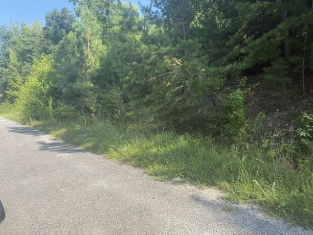 4 Carroll Hollow Road Waynesboro, TN 38485 - Photo 19 of 32 Gallery Image 19