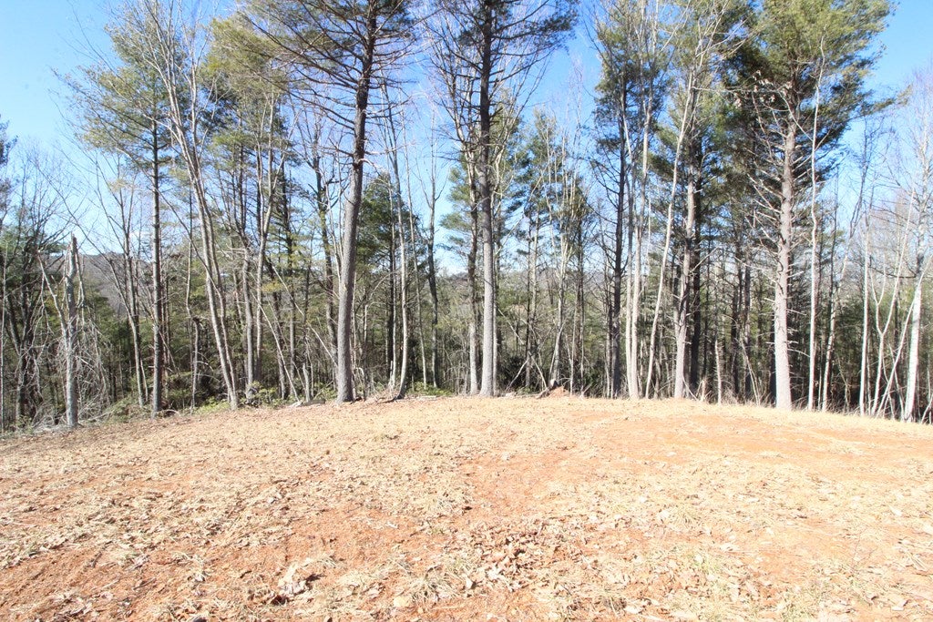 Tbd Ivanhoe Road, Unit 60A34 Fries, VA 24330 - Photo 32 of 45 Gallery Image 32
