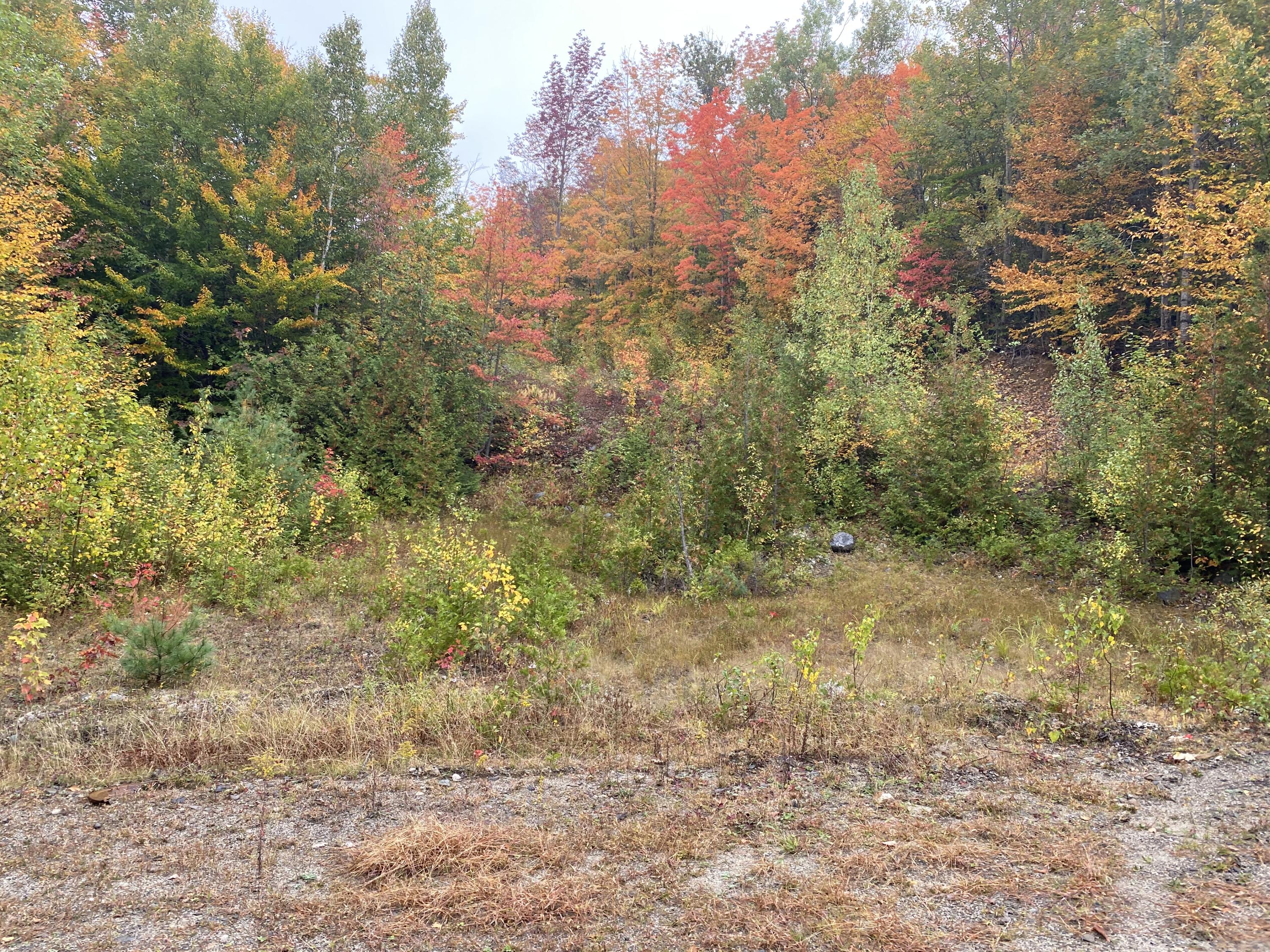 Lot 46 Dill Valley Road Lakeville, ME 04487 - Photo 25 of 38 Photo Sep 29, 12 01 00 PM