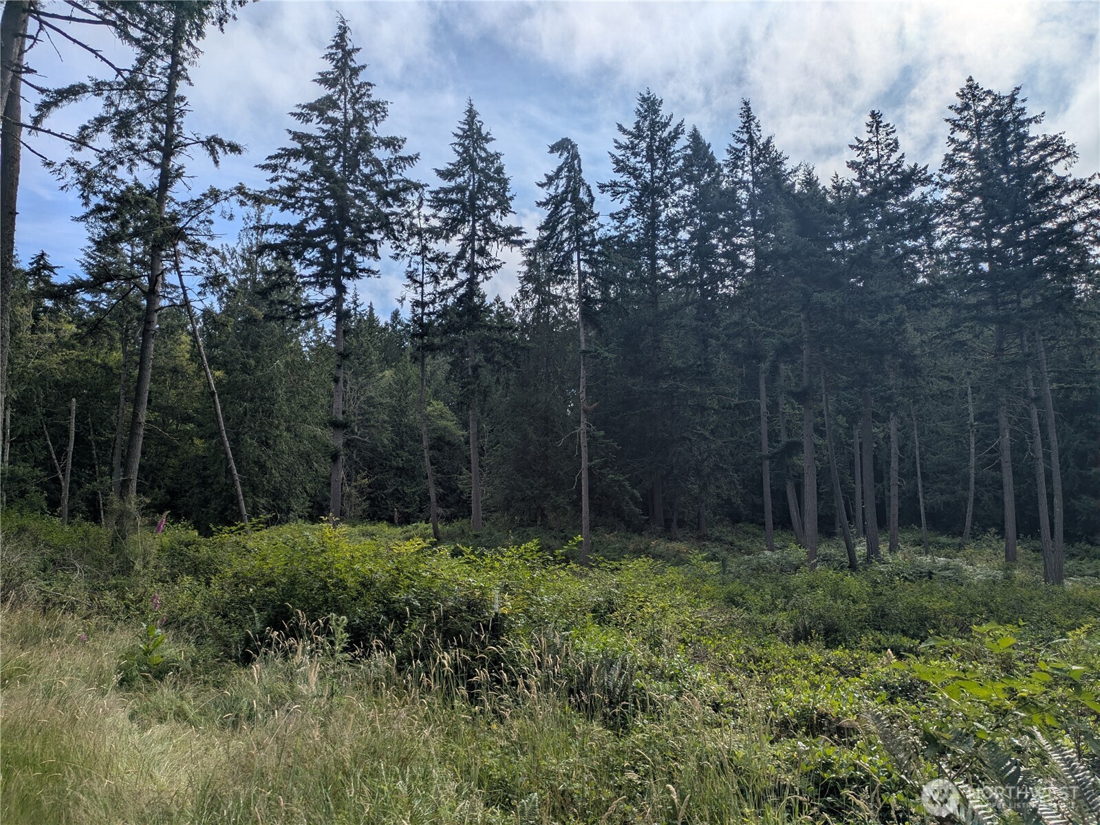 0 Maxwelton Road Langley, WA 98260 - Photo 11 of 13