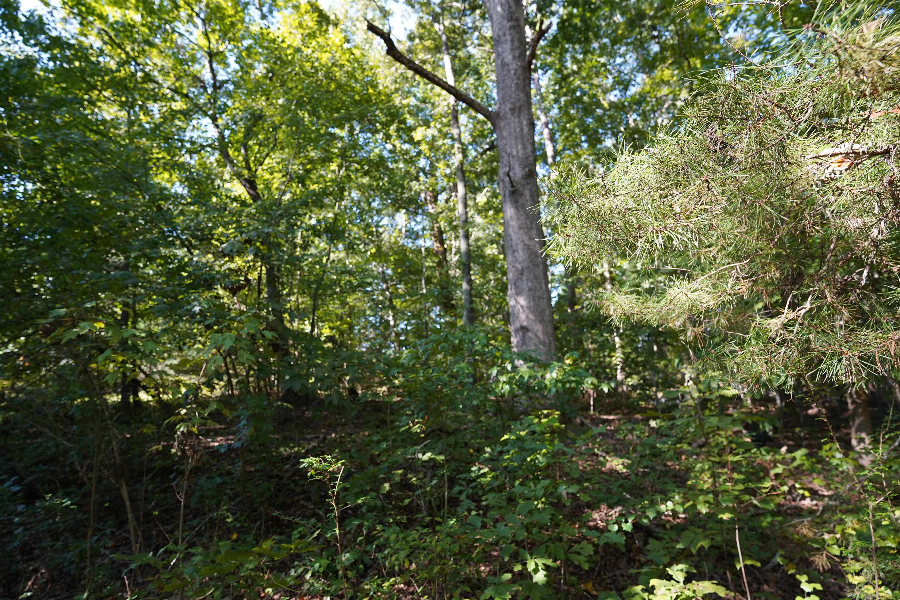 4561 Babb Road Greer, SC 29651 - Photo 24 of 25