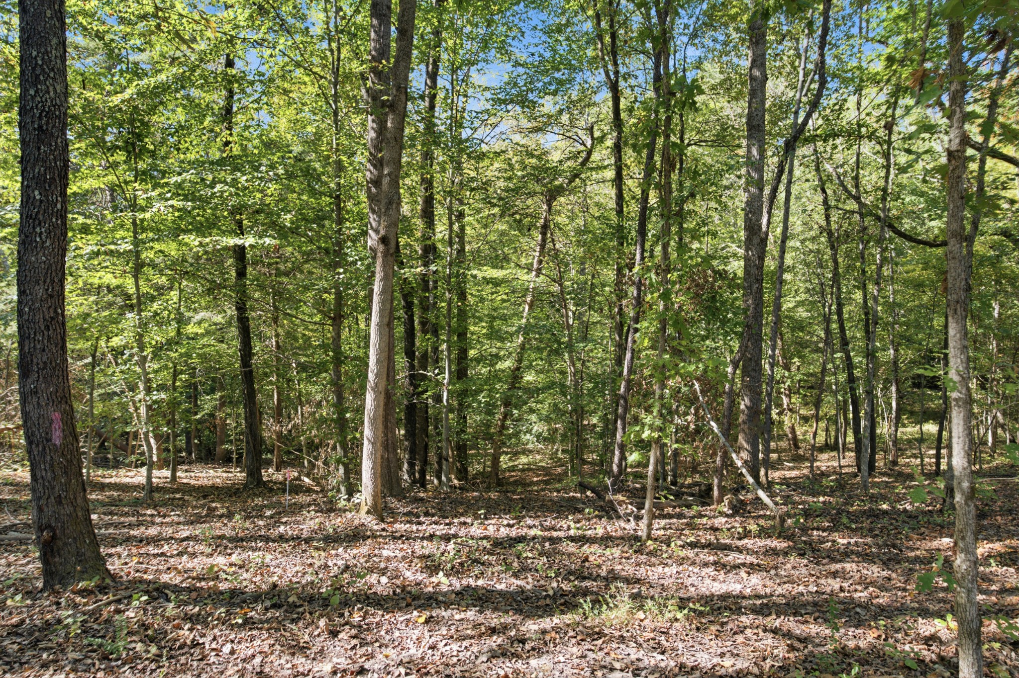 0 Bowker Road Charlotte, TN 37036 - Photo 9 of 17 Gallery Image 9