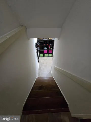 a view of a backyard with large trees