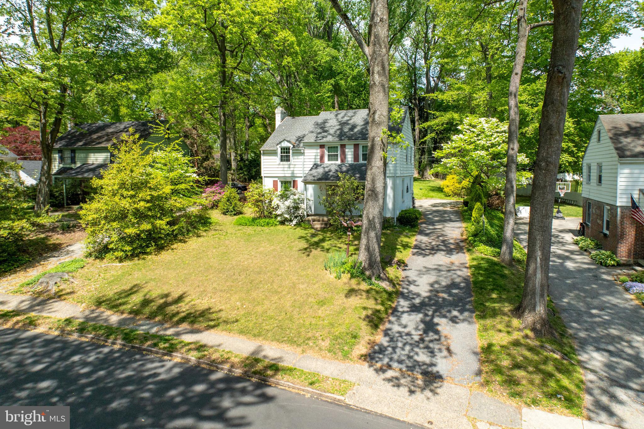 314 Spring Valley Road Springfield, PA 19064 - Photo 34 of 43 a view of a yard with plants and large trees