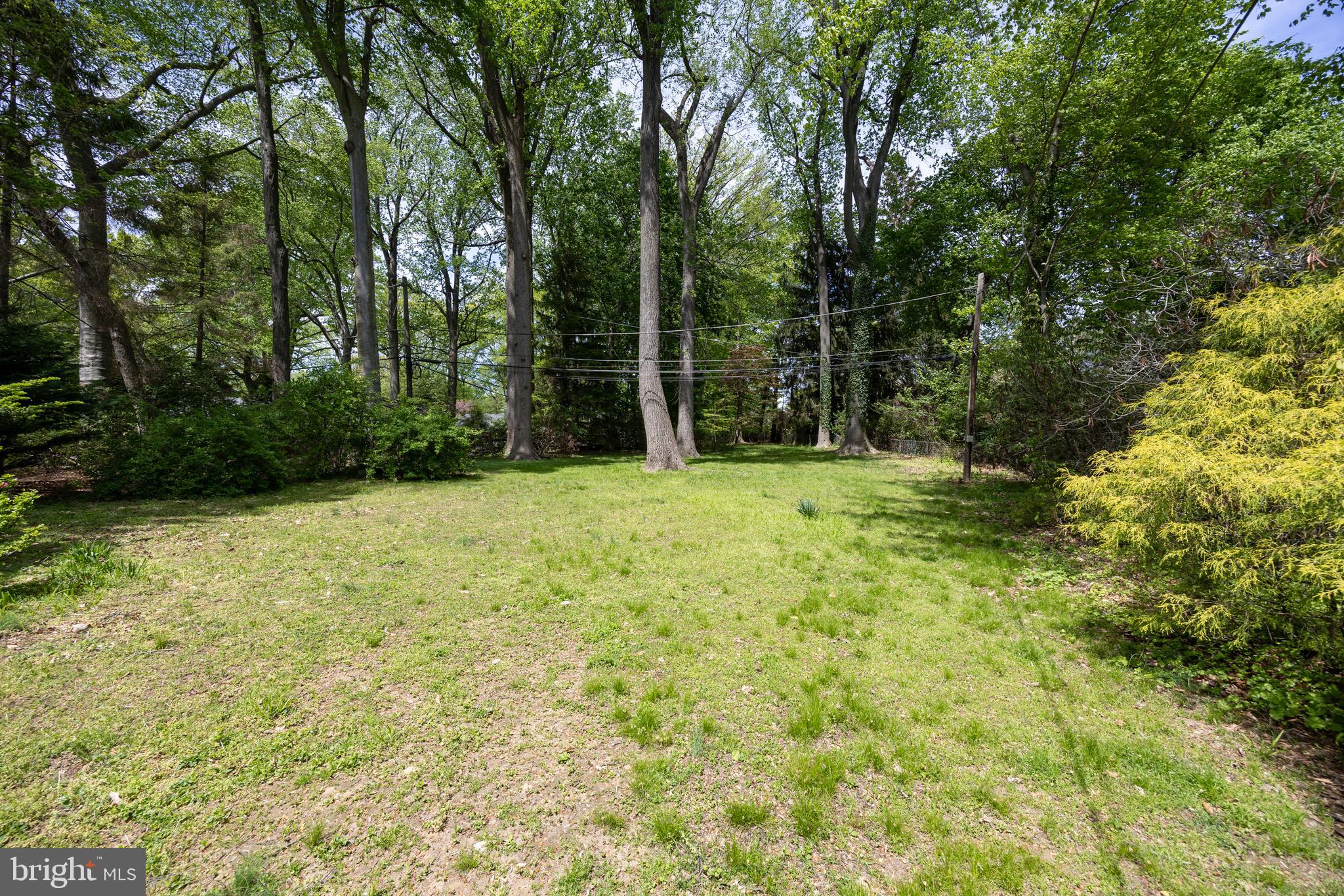 314 Spring Valley Road Springfield, PA 19064 - Photo 39 of 43 a big yard with trees