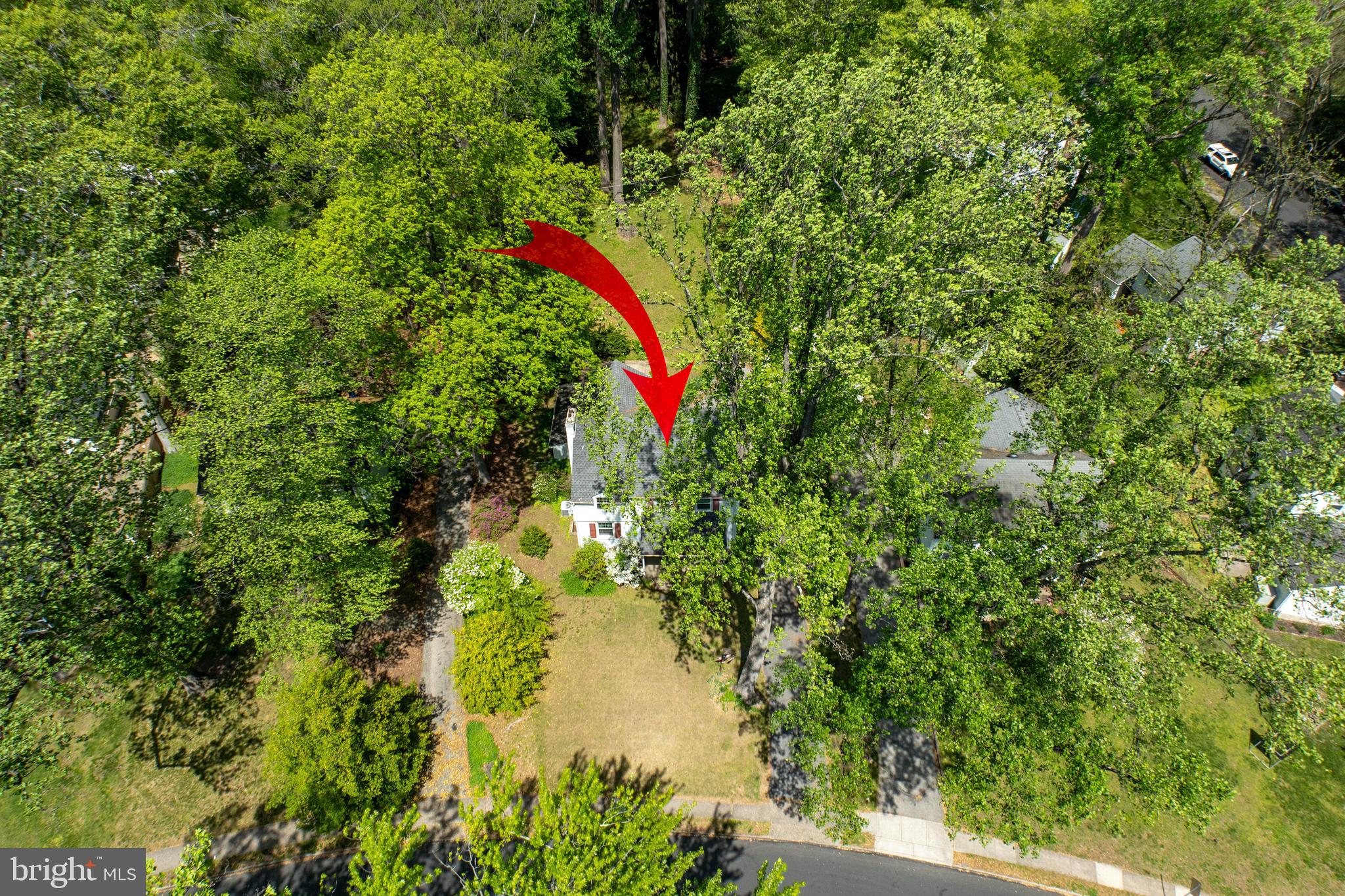 314 Spring Valley Road Springfield, PA 19064 - Photo 41 of 43 a view of a small yard