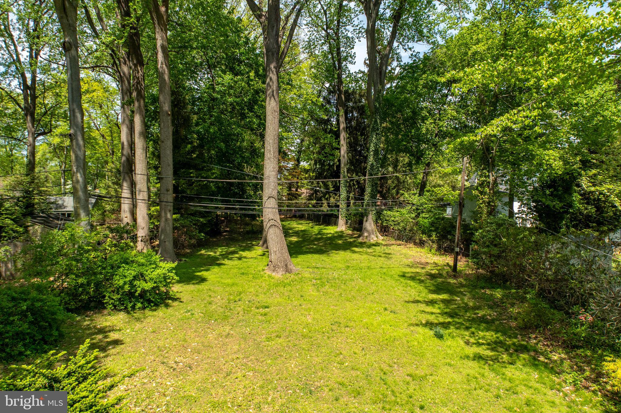 314 Spring Valley Road Springfield, PA 19064 - Photo 43 of 43 a view of outdoor space with deck and tree
