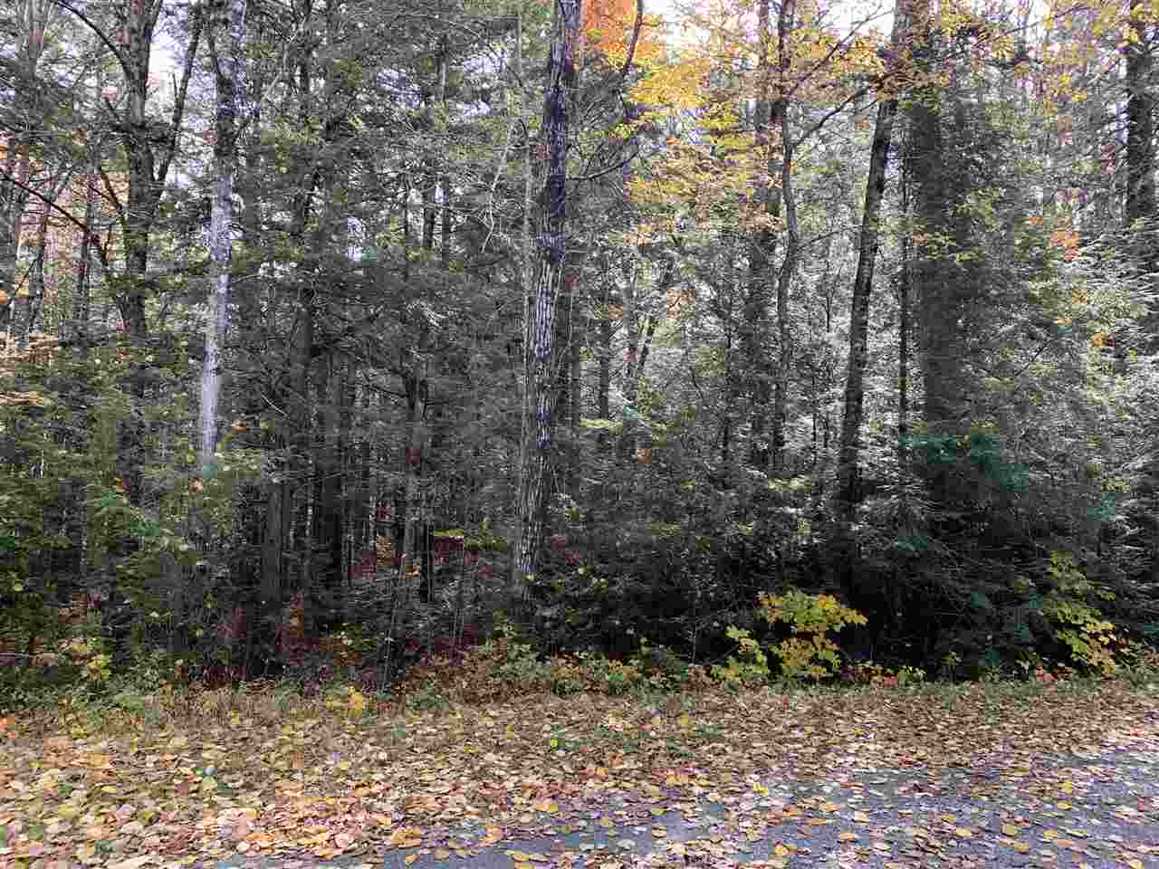 38 Winding Wood Road Grantham, NH 03753 - Photo 1 of 2 Gallery Image 1