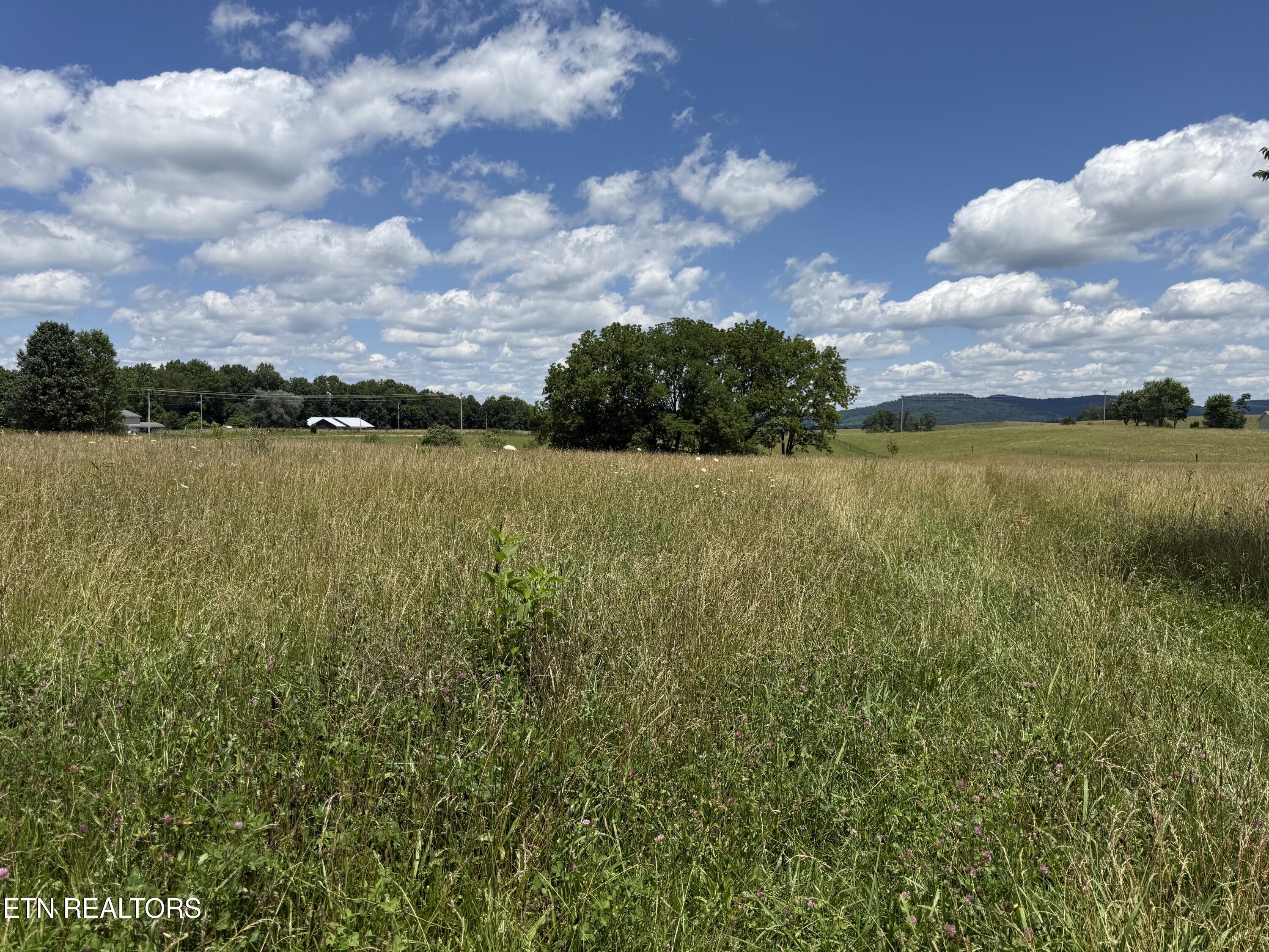 Dogwalk Road Monroe, TN 38573 - Photo 5 of 30 DW 8