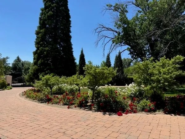 a view of a garden with potted plants
