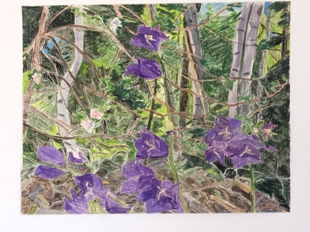 551 Fellows Road Danville, VT 05828 - Photo 19 of 36 Gallery Image 19