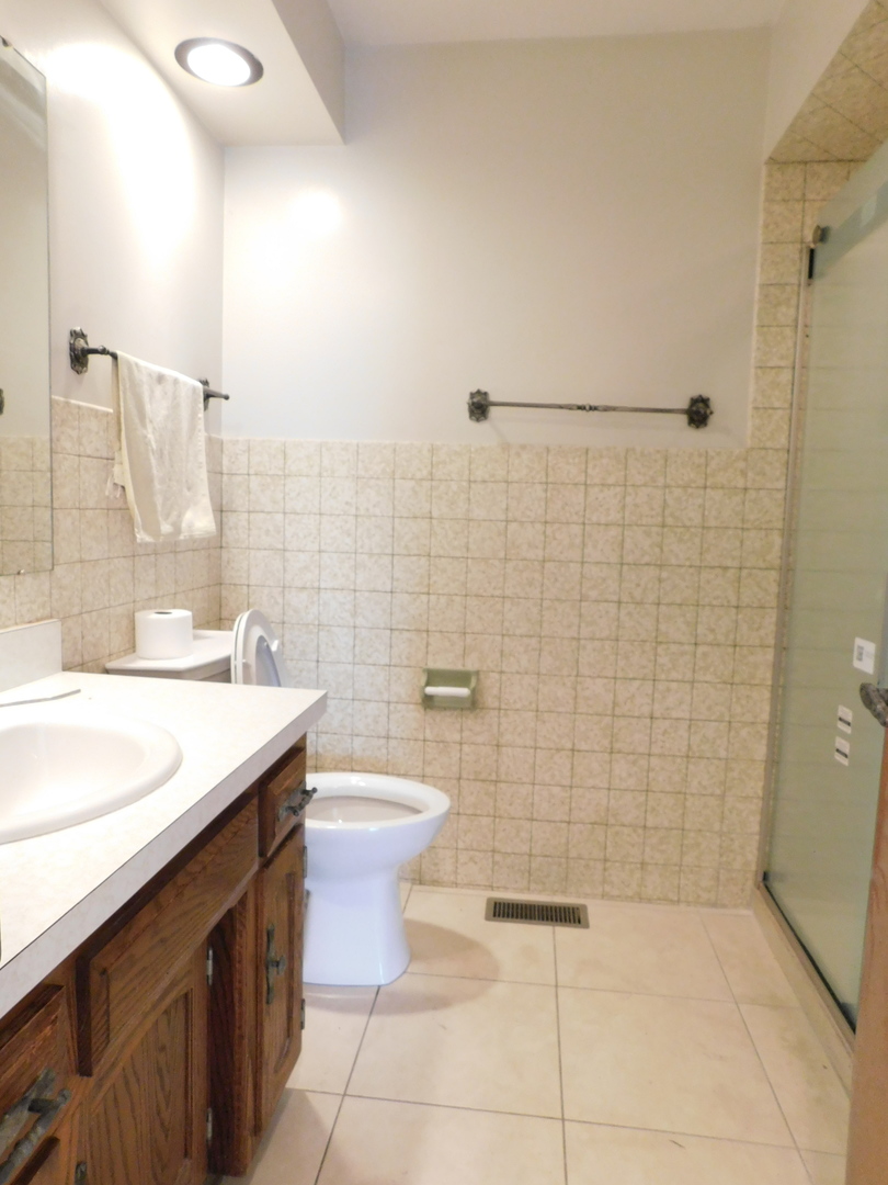 46W356 Jericho Road Big Rock, IL 60511 - Photo 19 of 33 a bathroom with a sink a toilet and shower