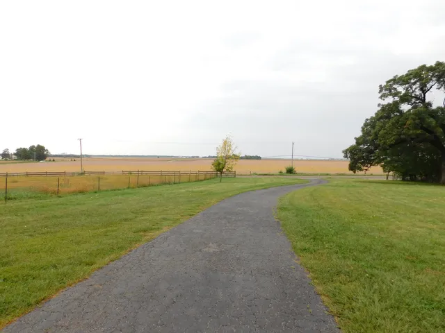 a view of grassy field with trees
