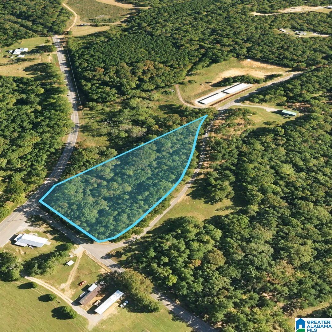 0 Island Road Titus, AL 36080 - Photo 9 of 13 Gallery Image 9