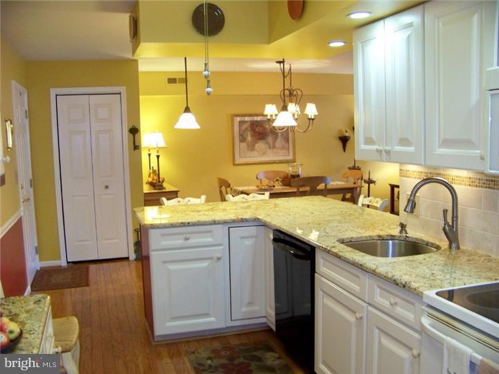 443 Brandon Road Jeffersonville, PA 19403 - Photo 5 of 16 Kitchen