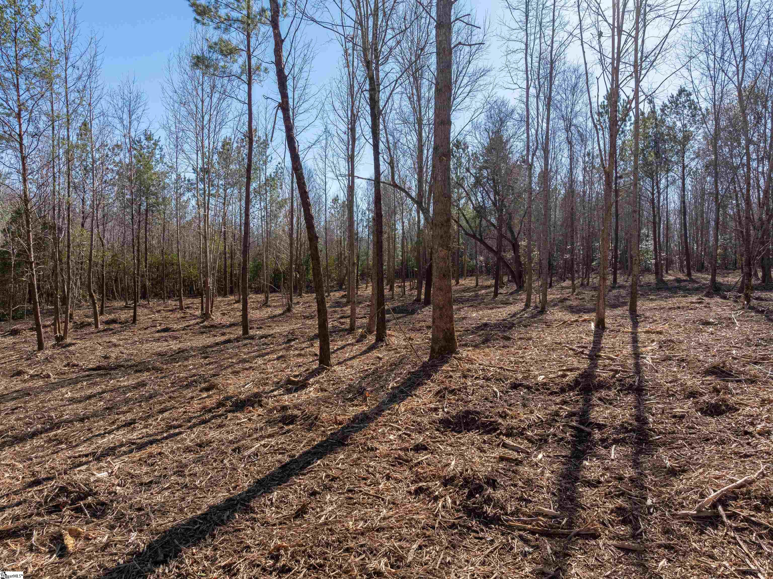 0 Pearson Road Belton, SC 29627 - Photo 13 of 28
