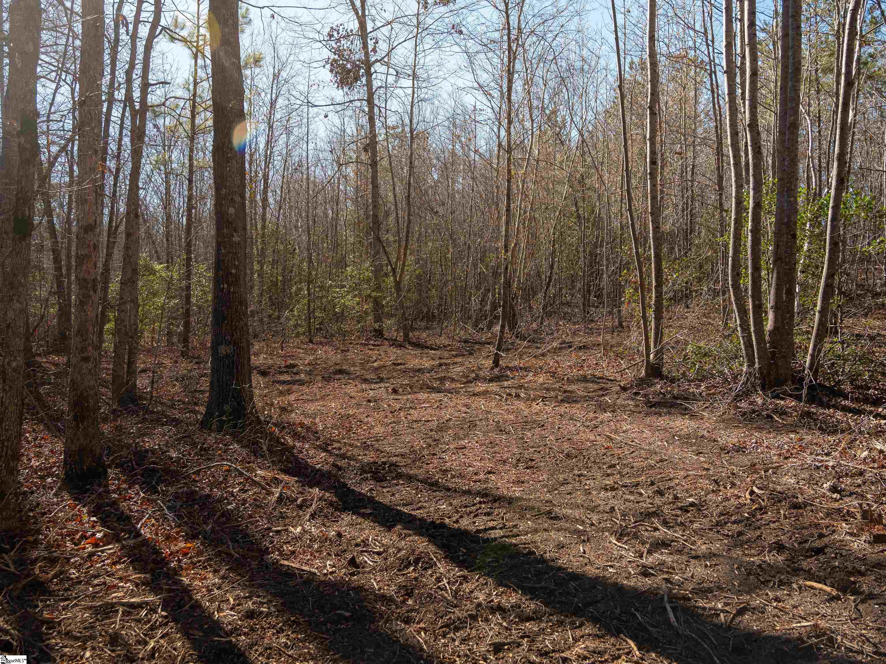 0 Pearson Road Belton, SC 29627 - Photo 27 of 28