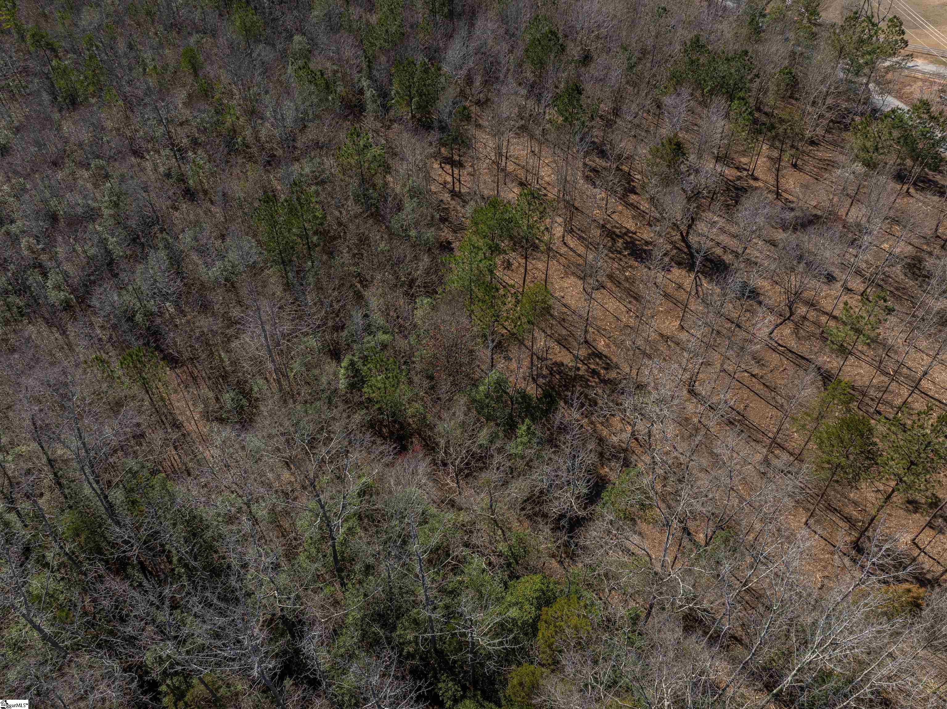 0 Pearson Road Belton, SC 29627 - Photo 8 of 28