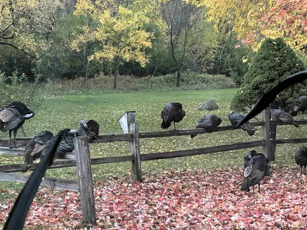 $1,400,000 | W8347 Thompson Road, Poynette, WI 53955