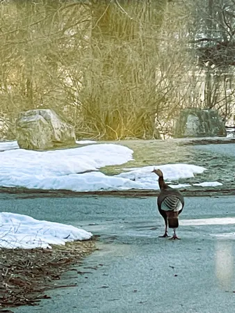 $1,400,000 | W8347 Thompson Road, Poynette, WI 53955