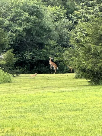 $1,400,000 | W8347 Thompson Road, Poynette, WI 53955