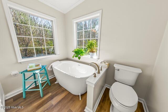 245 Gibbtown Road Merritt, NC 28556 - Photo 72 of 72 Master Bathroom
