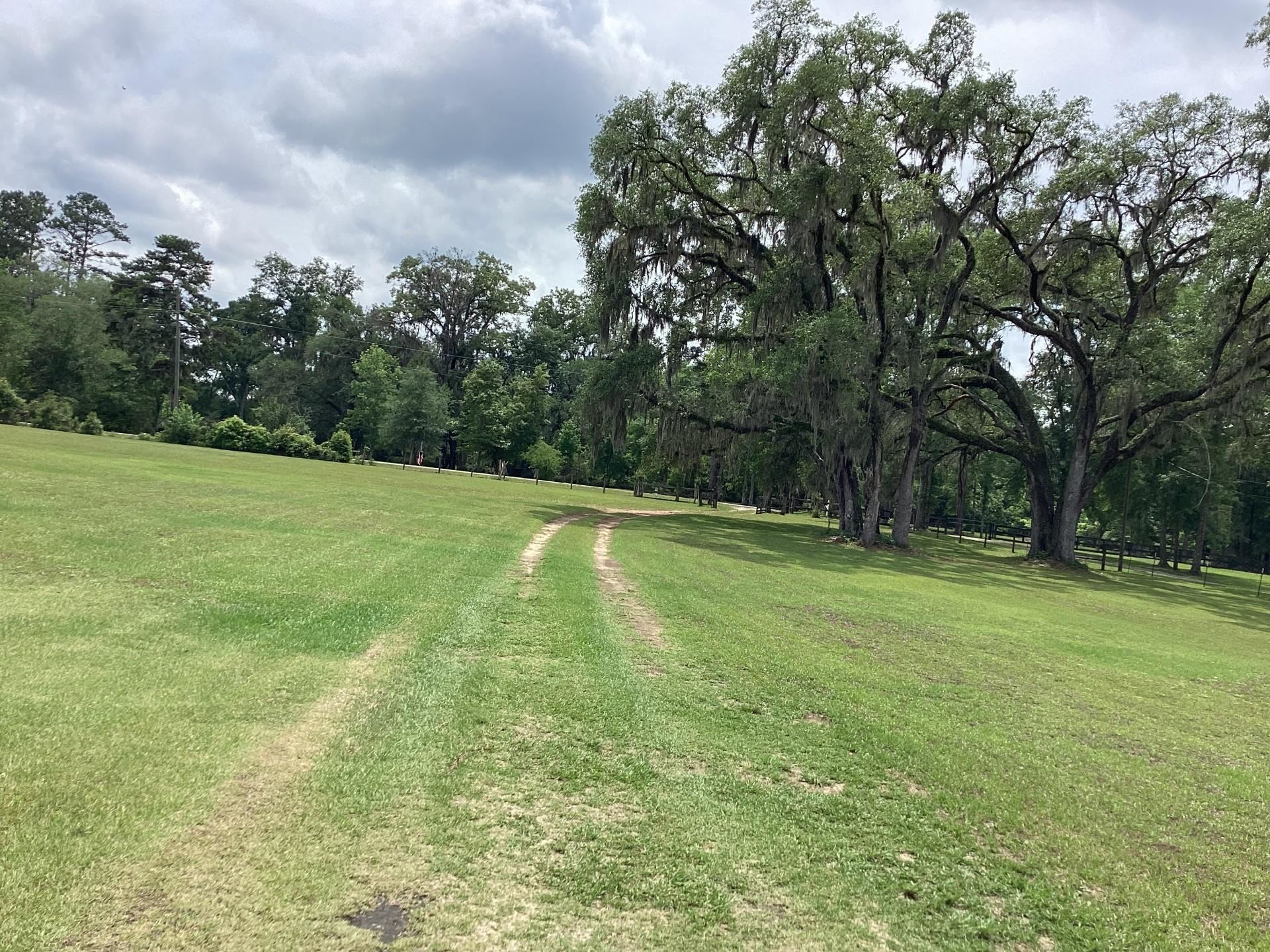 339 Silver Lake Road Monticello, FL 32344 - Photo 38 of 41