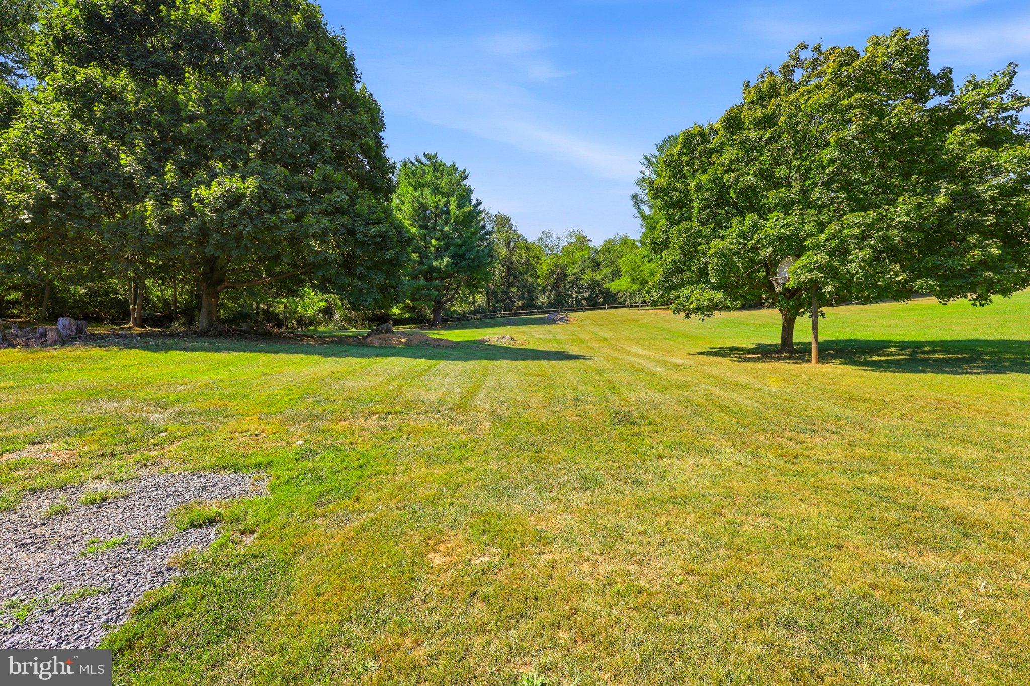 589 Ruebuck Road Clear Brook, VA 22624 - Photo 6 of 37 HUGE Back Yard that backs up to woods on 1 acre