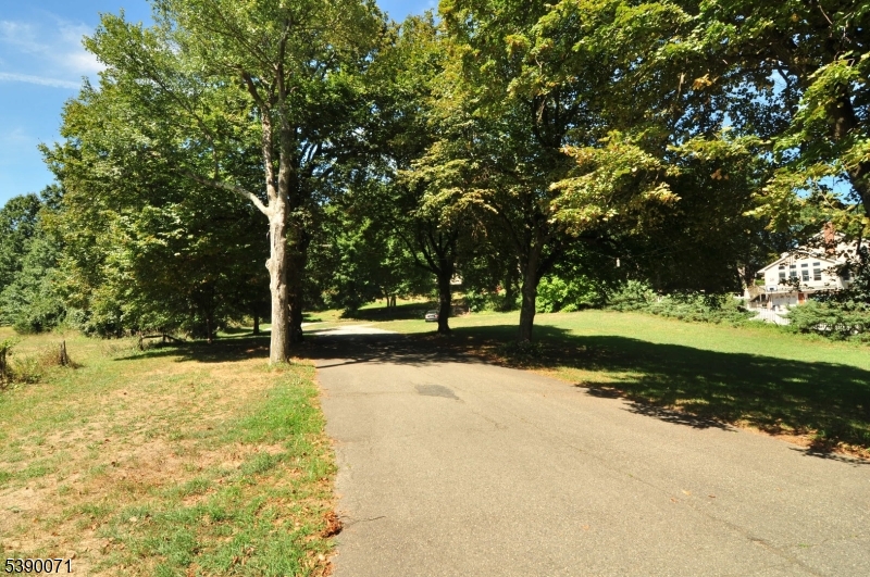 100 Jacksonville Road, Unit 10 Montville, NJ 07082 - Photo 7 of 18 a view of yard with tree