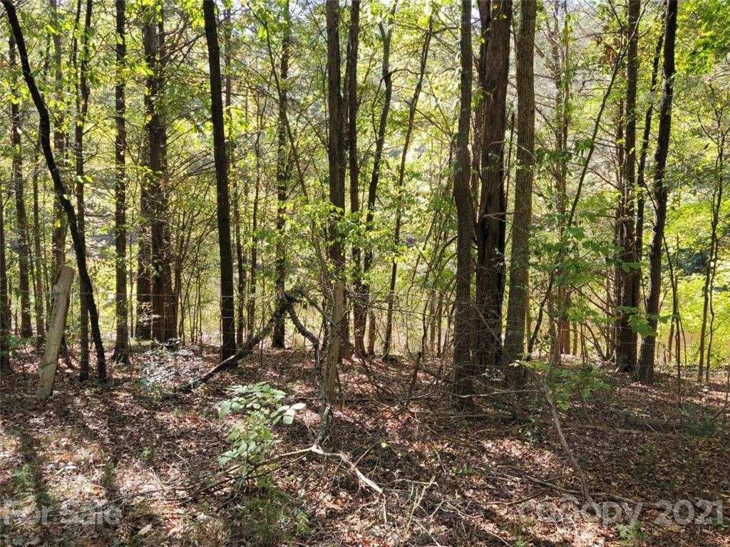 2401 Primm Road Charlotte, NC 28216 - Photo 40 of 46 Gallery Image 40